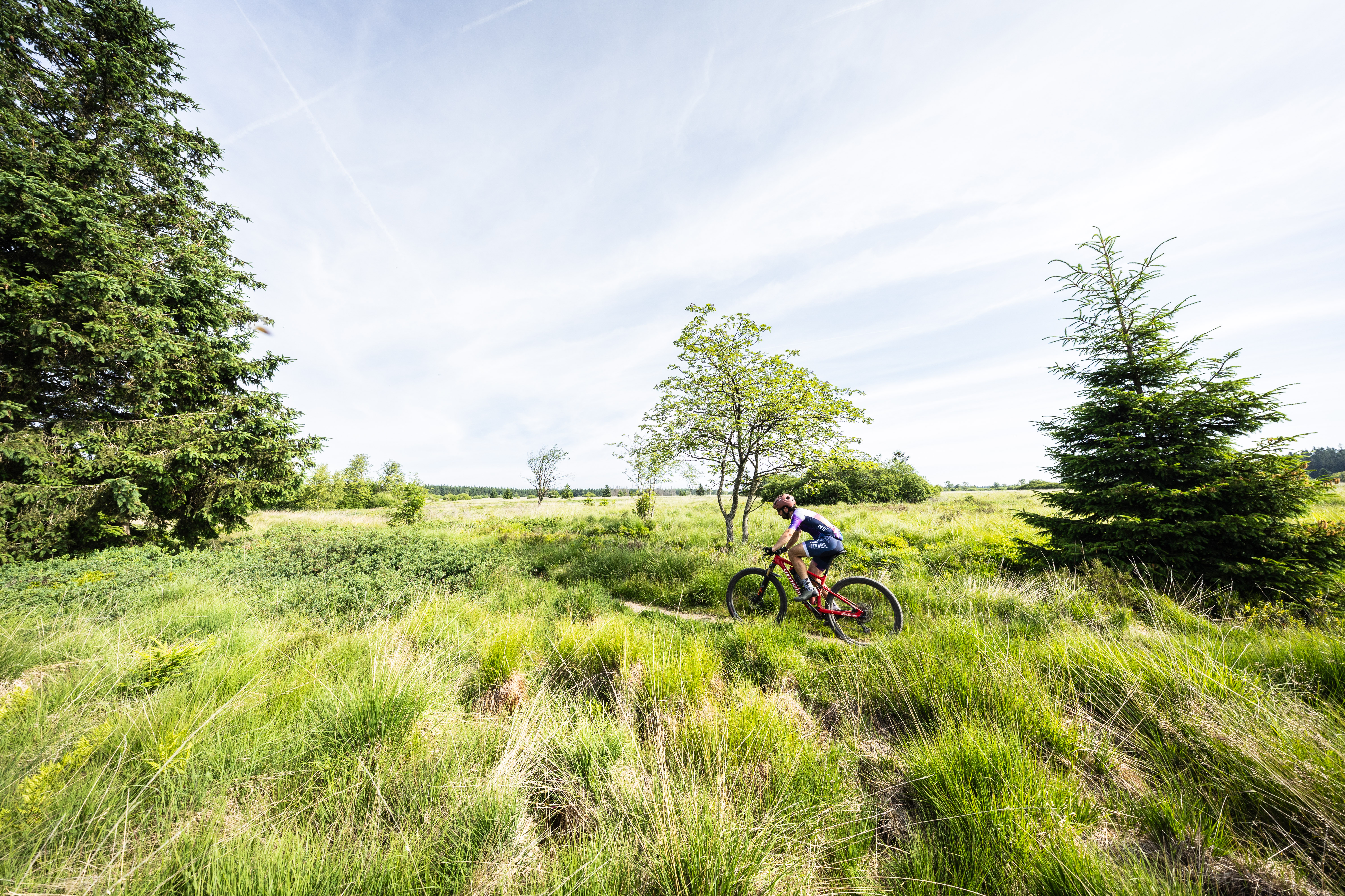 Open tracks - Raid des Hautes Fagnes - photo 14