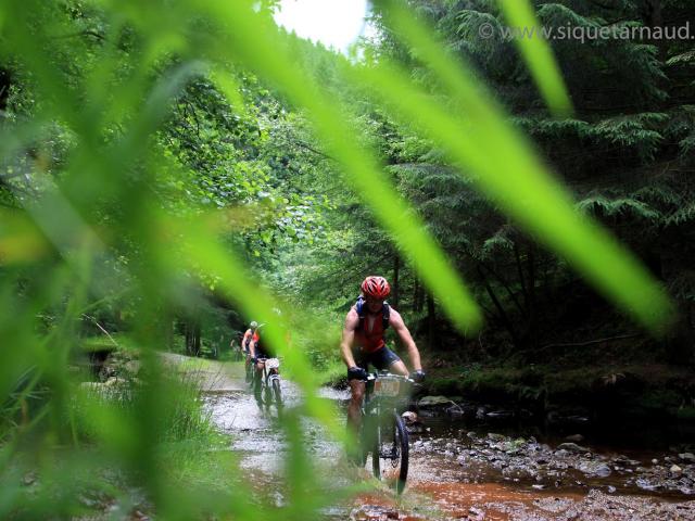 RDHF 2008 - Raid des Hautes Fagnes - photo 28