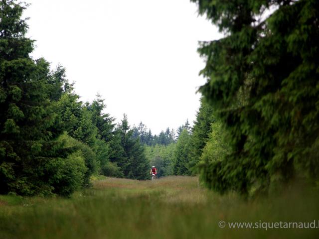 RDHF 2008 - Raid des Hautes Fagnes - photo 42