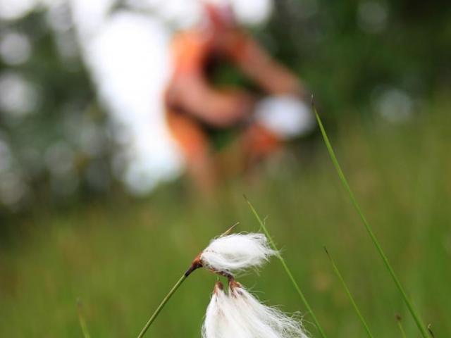 RDHF 2008 - Raid des Hautes Fagnes - photo 52