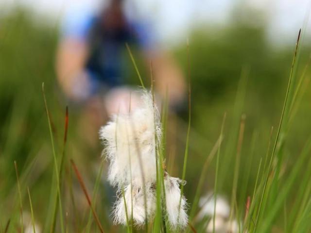 RDHF 2009 - Raid des Hautes Fagnes - photo 99