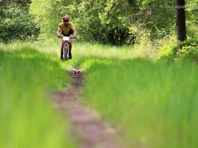 RDHF 2009 - Raid des Hautes Fagnes - photo 108