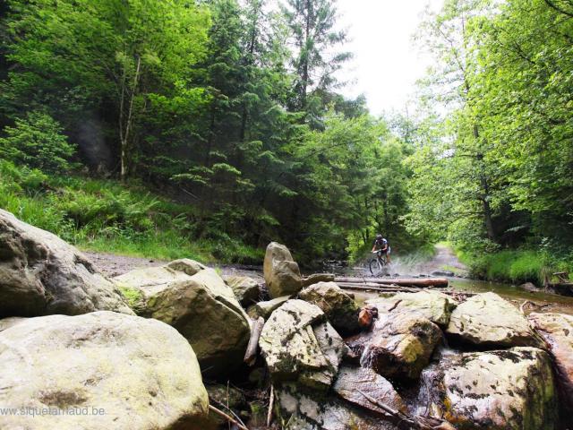 RDHF 2009 - Raid des Hautes Fagnes - photo 128