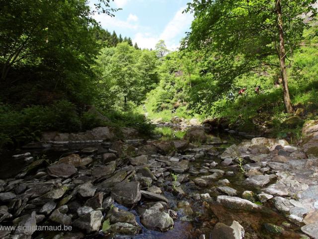 RDHF 2010 - Raid des Hautes Fagnes - photo 32