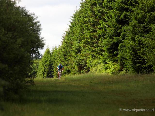 RDHF 2010 - Raid des Hautes Fagnes - photo 66