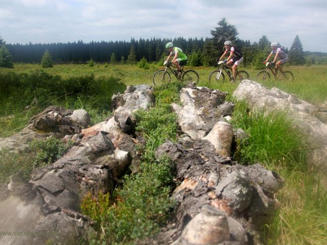 RDHF 2011 - Raid des Hautes Fagnes - photo 69