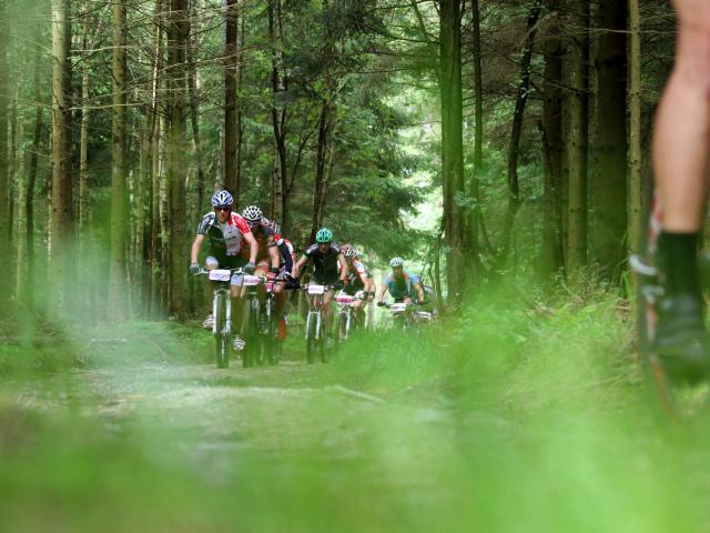 RDHF 2012 - Raid des Hautes Fagnes - photo 29
