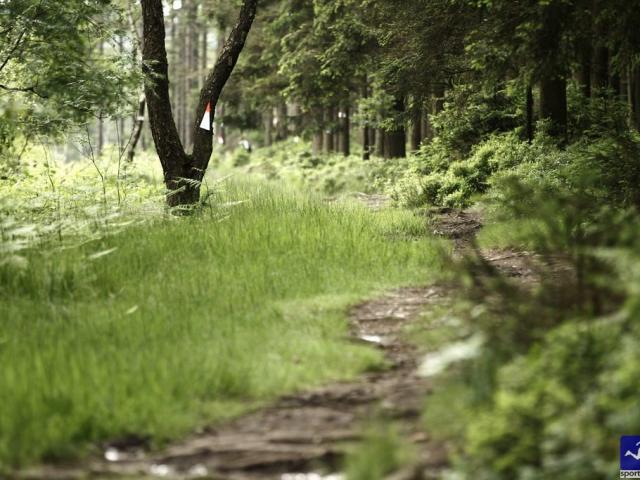 RDHF 2012 - Raid des Hautes Fagnes - photo 106