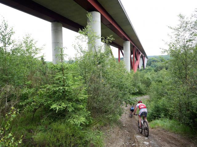 RDHF 2012 - Raid des Hautes Fagnes - photo 131