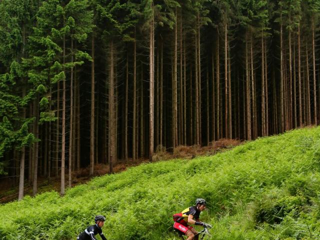 RDHF 2013 - Raid des Hautes Fagnes - photo 32