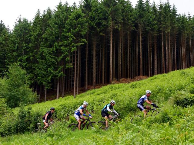 RDHF 2013 - Raid des Hautes Fagnes - photo 33