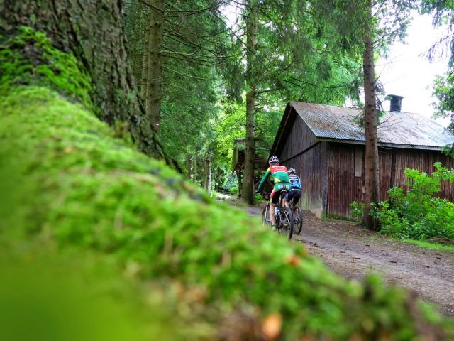 RDHF 2013 - Raid des Hautes Fagnes - photo 38