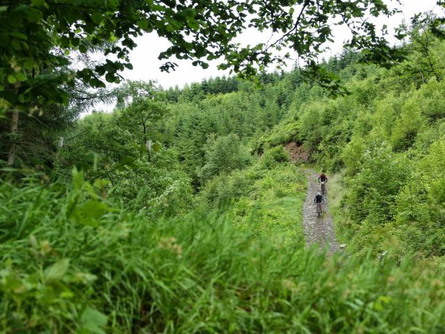 RDHF 2013 - Raid des Hautes Fagnes - photo 40
