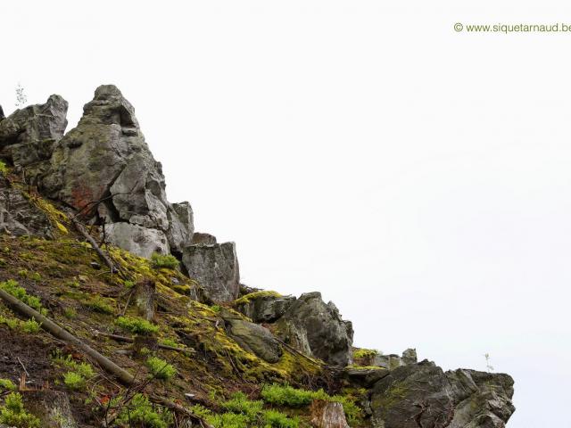 RDHF 2013 - Raid des Hautes Fagnes - photo 44