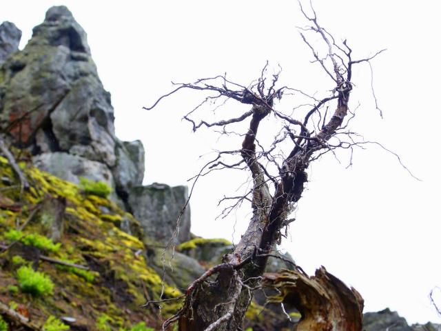 RDHF 2013 - Raid des Hautes Fagnes - photo 45
