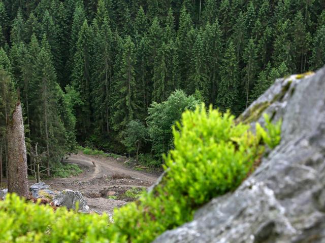 RDHF 2013 - Raid des Hautes Fagnes - photo 46
