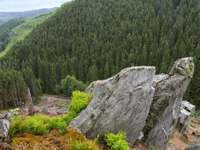 RDHF 2013 - Raid des Hautes Fagnes - photo 47