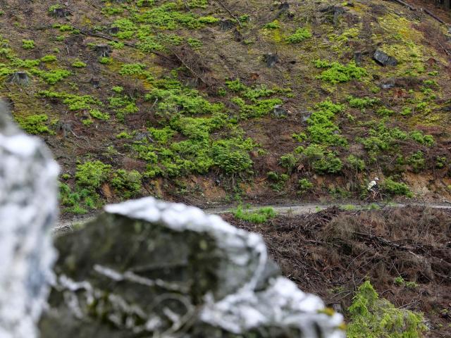 RDHF 2013 - Raid des Hautes Fagnes - photo 49