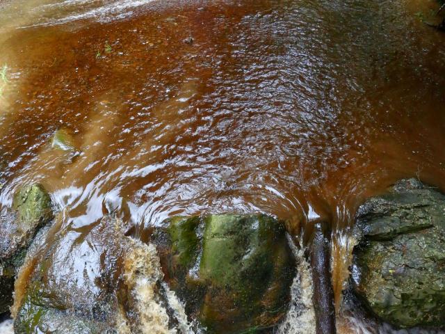 RDHF 2013 - Raid des Hautes Fagnes - photo 77