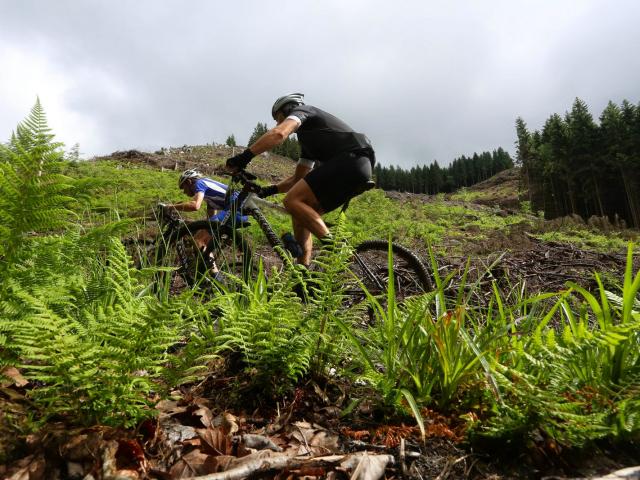 RDHF 2013 - Raid des Hautes Fagnes - photo 78