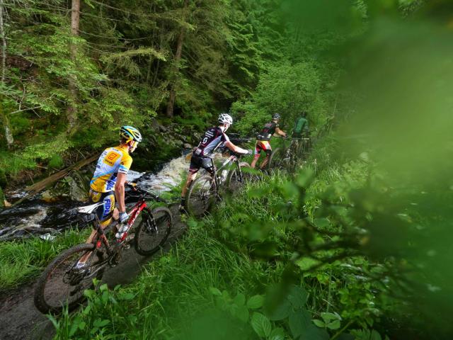 RDHF 2013 - Raid des Hautes Fagnes - photo 81