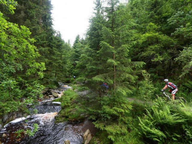 RDHF 2013 - Raid des Hautes Fagnes - photo 85