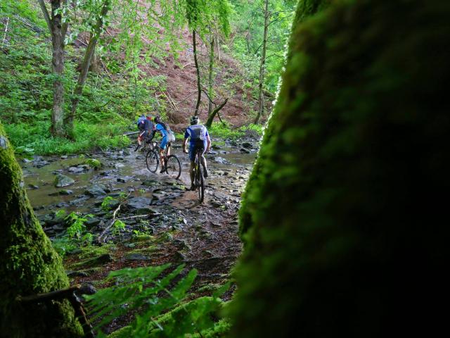 RDHF 2013 - Raid des Hautes Fagnes - photo 95