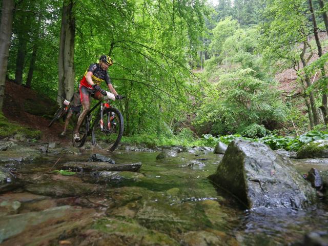 RDHF 2013 - Raid des Hautes Fagnes - photo 97