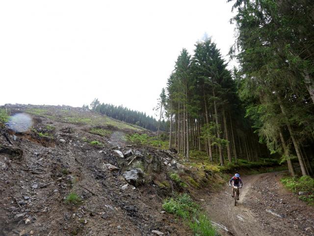RDHF 2013 - Raid des Hautes Fagnes - photo 113