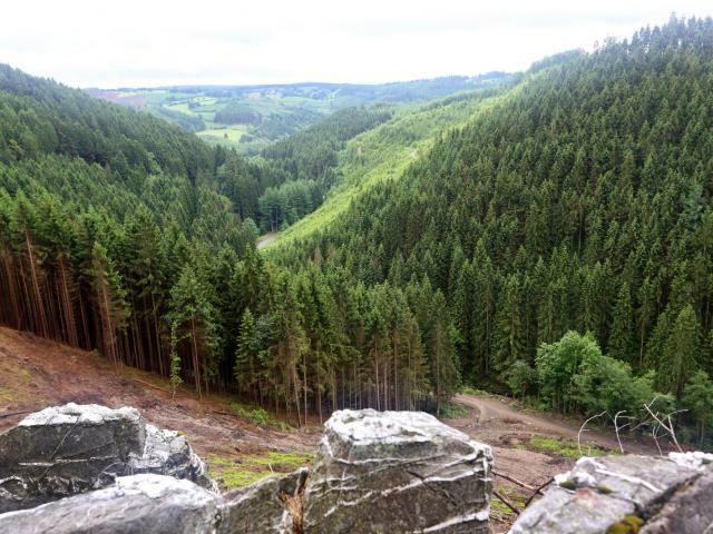 RDHF 2013 - Raid des Hautes Fagnes - photo 114