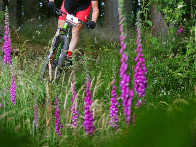 RDHF 2014 - Raid des Hautes Fagnes - photo 29