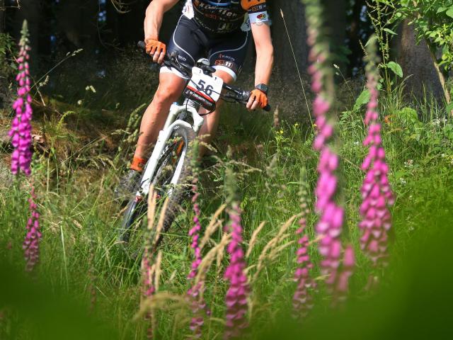 RDHF 2014 - Raid des Hautes Fagnes - photo 30