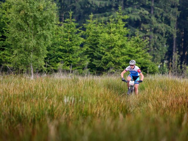 RDHF 2014 - Raid des Hautes Fagnes - photo 37