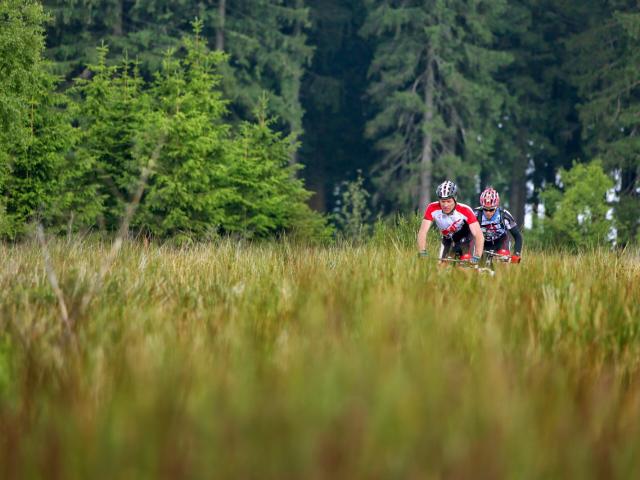 RDHF 2014 - Raid des Hautes Fagnes - photo 41