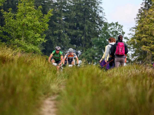 RDHF 2014 - Raid des Hautes Fagnes - photo 44