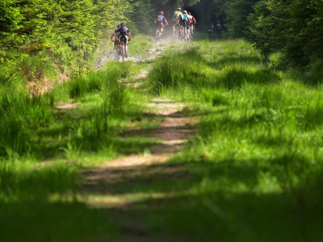 RDHF 2014 - Raid des Hautes Fagnes - photo 48