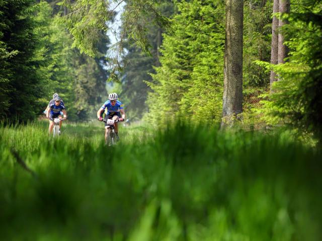 RDHF 2014 - Raid des Hautes Fagnes - photo 50