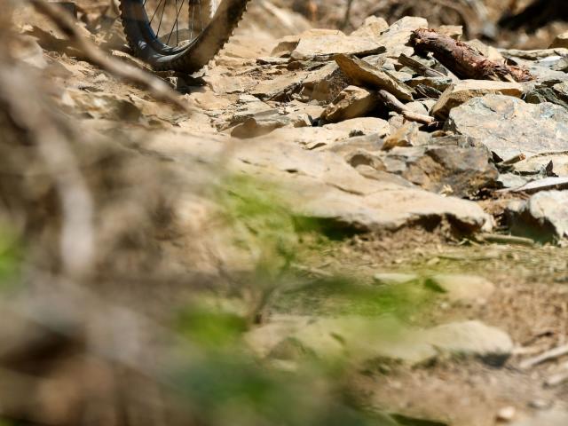 RDHF 2014 - Raid des Hautes Fagnes - photo 65