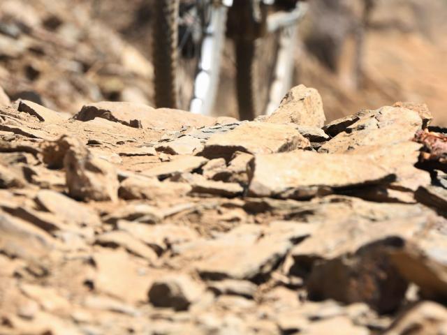 RDHF 2014 - Raid des Hautes Fagnes - photo 68