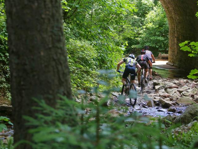 RDHF 2014 - Raid des Hautes Fagnes - photo 78