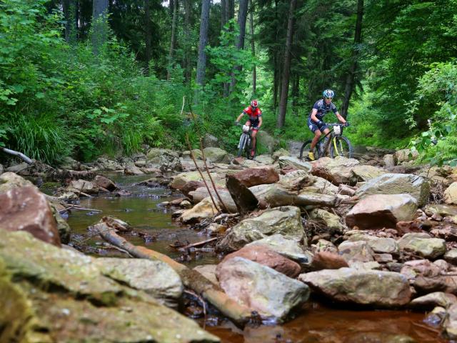RDHF 2014 - Raid des Hautes Fagnes - photo 79