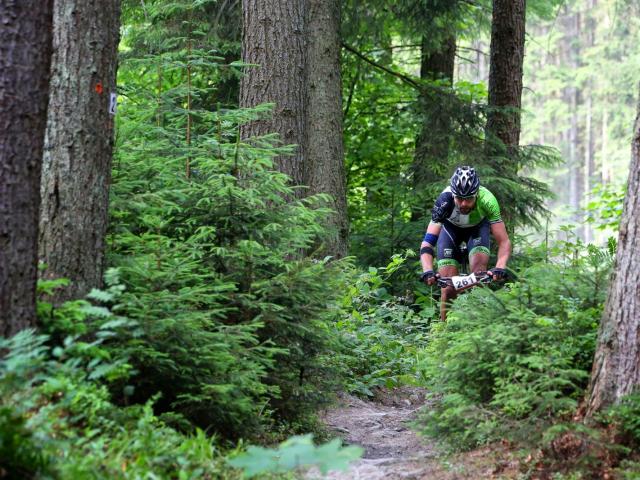 RDHF 2014 - Raid des Hautes Fagnes - photo 84