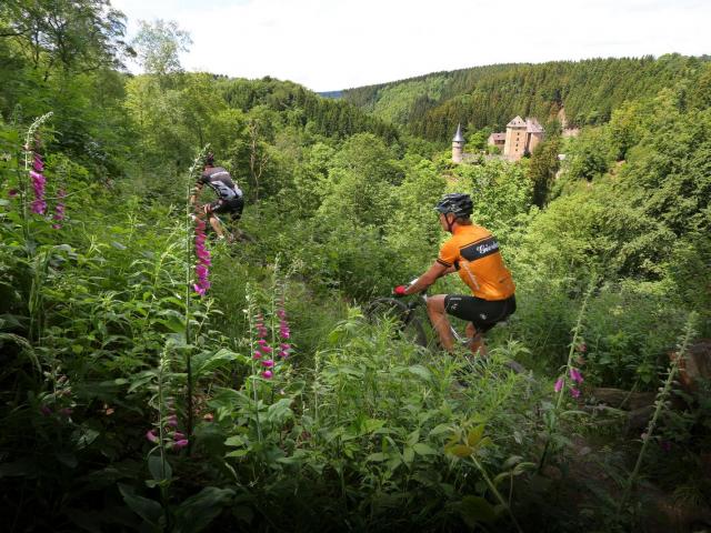 RDHF 2014 - Raid des Hautes Fagnes - photo 117