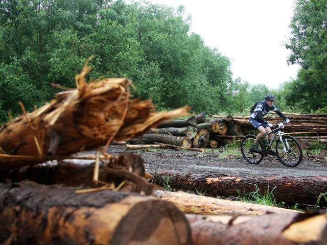 RDHF 2015 - Raid des Hautes Fagnes - photo 35