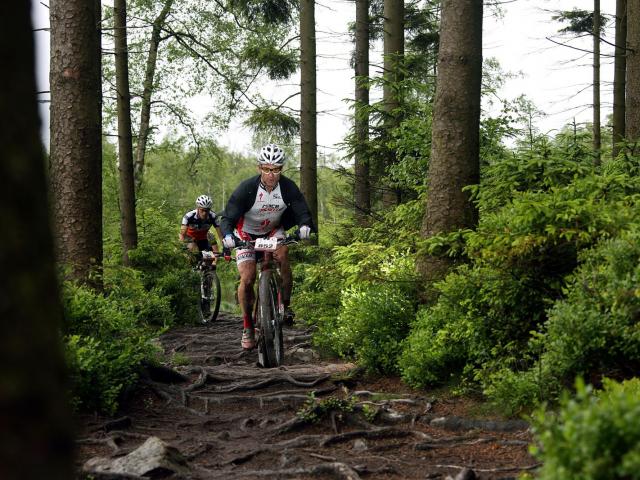 RDHF 2015 - Raid des Hautes Fagnes - photo 43