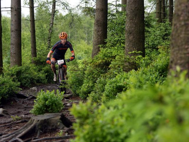 RDHF 2015 - Raid des Hautes Fagnes - photo 44