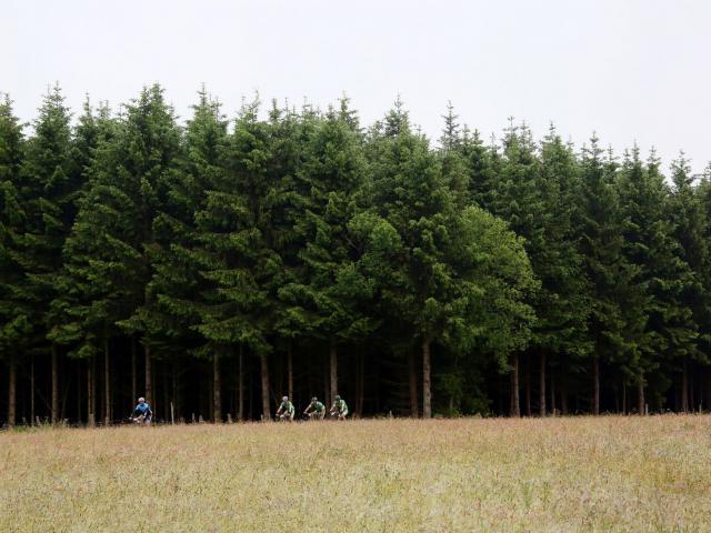 RDHF 2015 - Raid des Hautes Fagnes - photo 50