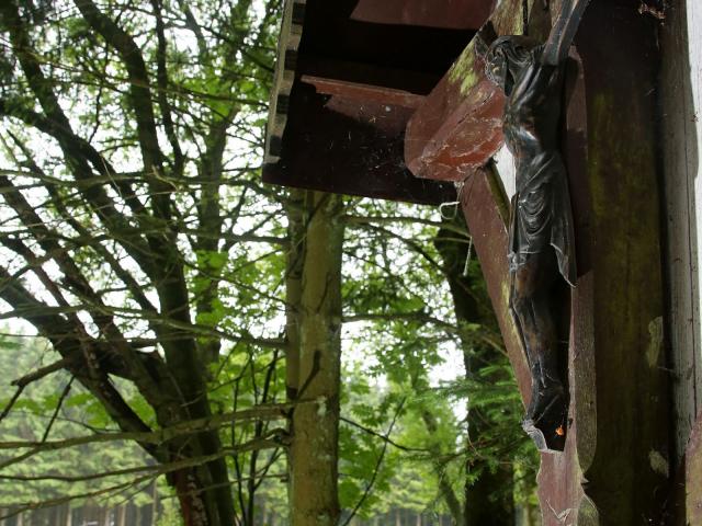 RDHF 2015 - Raid des Hautes Fagnes - photo 51