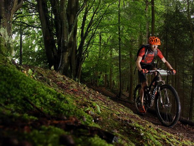 RDHF 2015 - Raid des Hautes Fagnes - photo 64