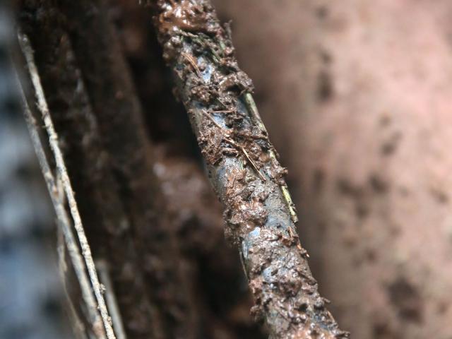 RDHF 2015 - Raid des Hautes Fagnes - photo 72